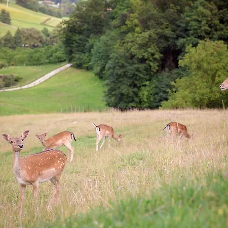 Glamping Olimia Adria Village Tente de luxe 5*