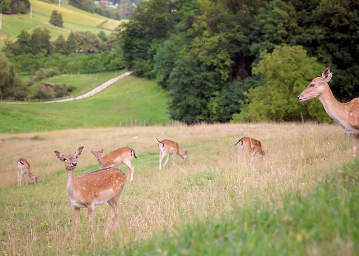 Glamping Olimia Adria Village Luksusowy namiot 5*